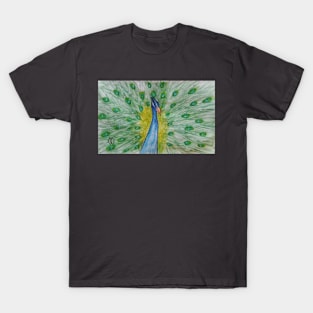 Peacock Study T-Shirt